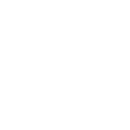 Hand-drawn chicken